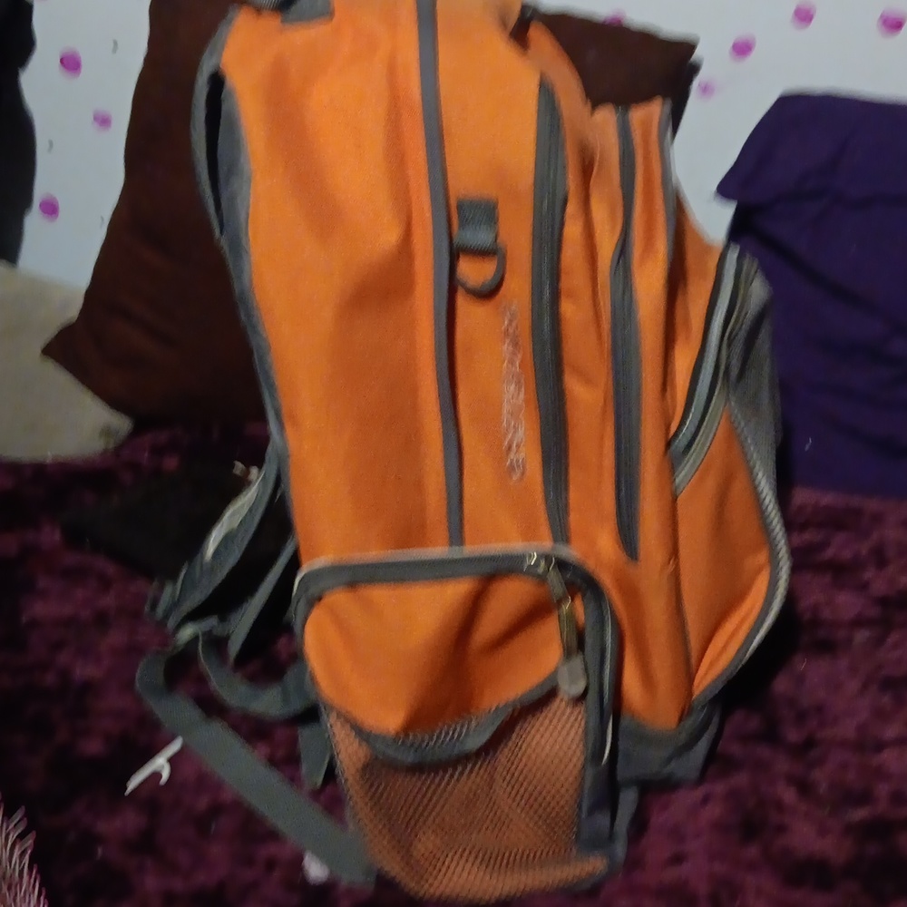Backpack - Picture 4 of 4